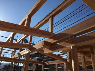 2016.05.18_6125.jpg