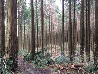 20160402_5246.jpg
