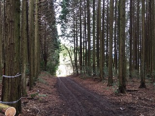 20160402_5968.jpg