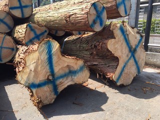 20160402_787.jpg