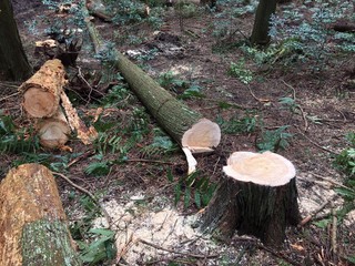 20160402_9917.jpg