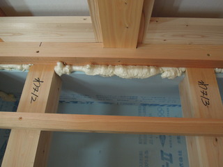 DSCN9933.JPG