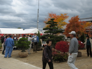 IMG_0001.jpg
