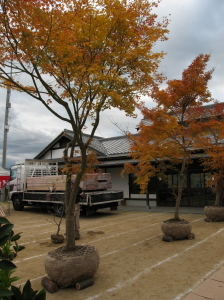 IMG_0003.jpg