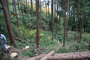 10_11_09_6057.jpg