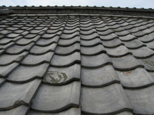 20090914_017.jpg