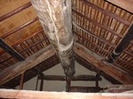 DSC03731_s.JPG