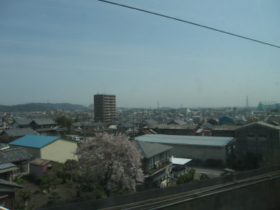 IMG_00041.JPG