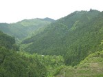IMG_4974_s.JPG