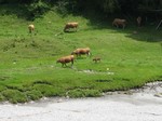IMG_4992_s.JPG