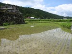 IMG_5001_s.JPG