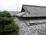 IMG_6773_s.JPG