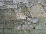 IMG_6843_s.JPG