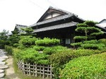 IMG_6847_s.JPG