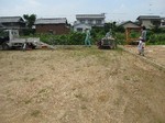 IMG_6901_s.JPG